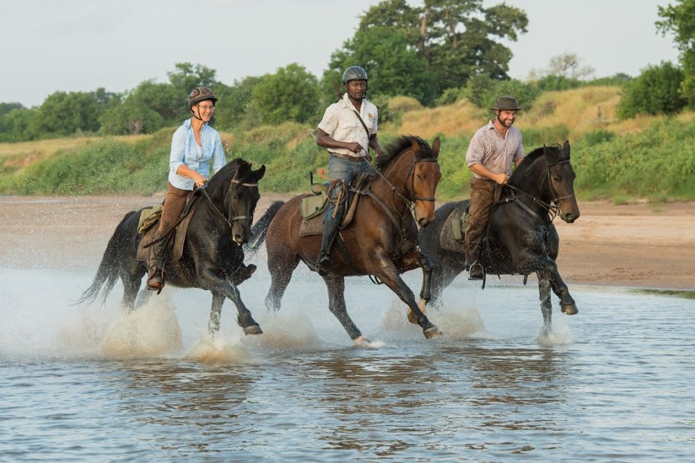 Image Botswana : Safari à cheval du Tuli