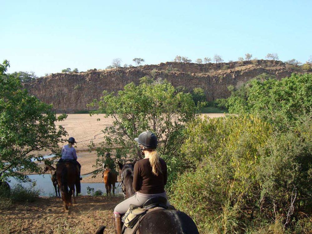 Image Botswana : Safari à cheval du Tuli