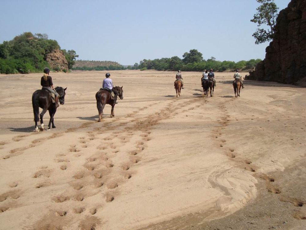 Image Botswana : Safari à cheval du Tuli