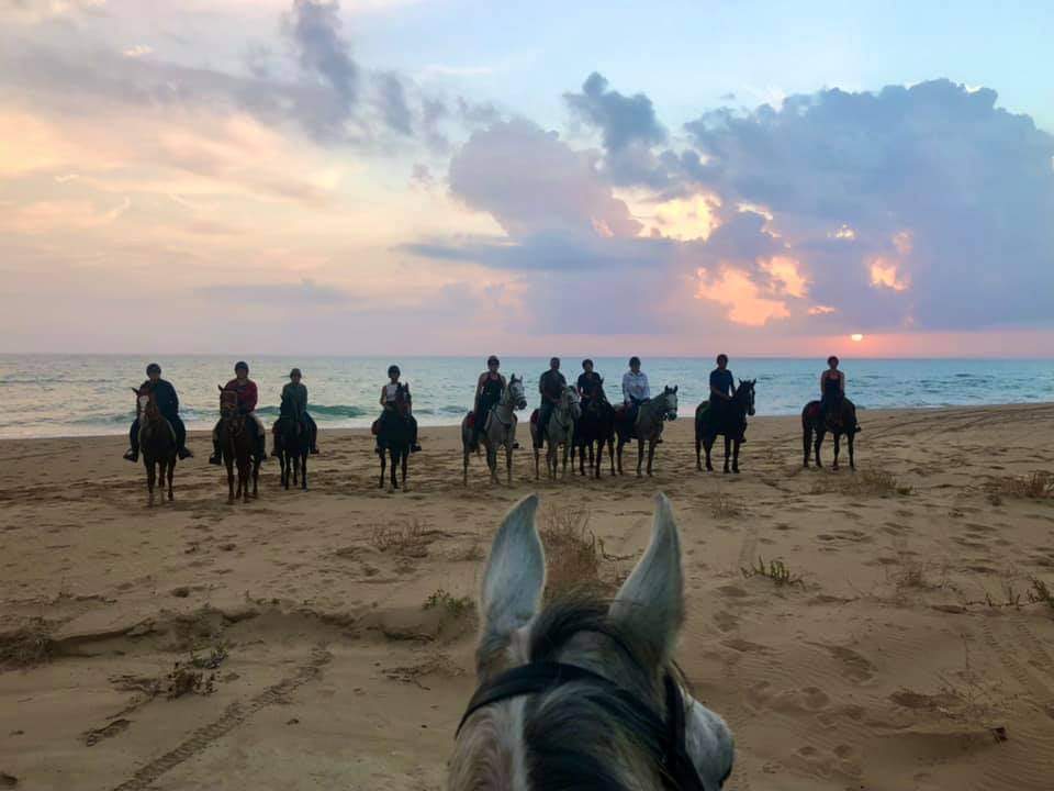 Image Sicile : La traversée de la Sicile à cheval