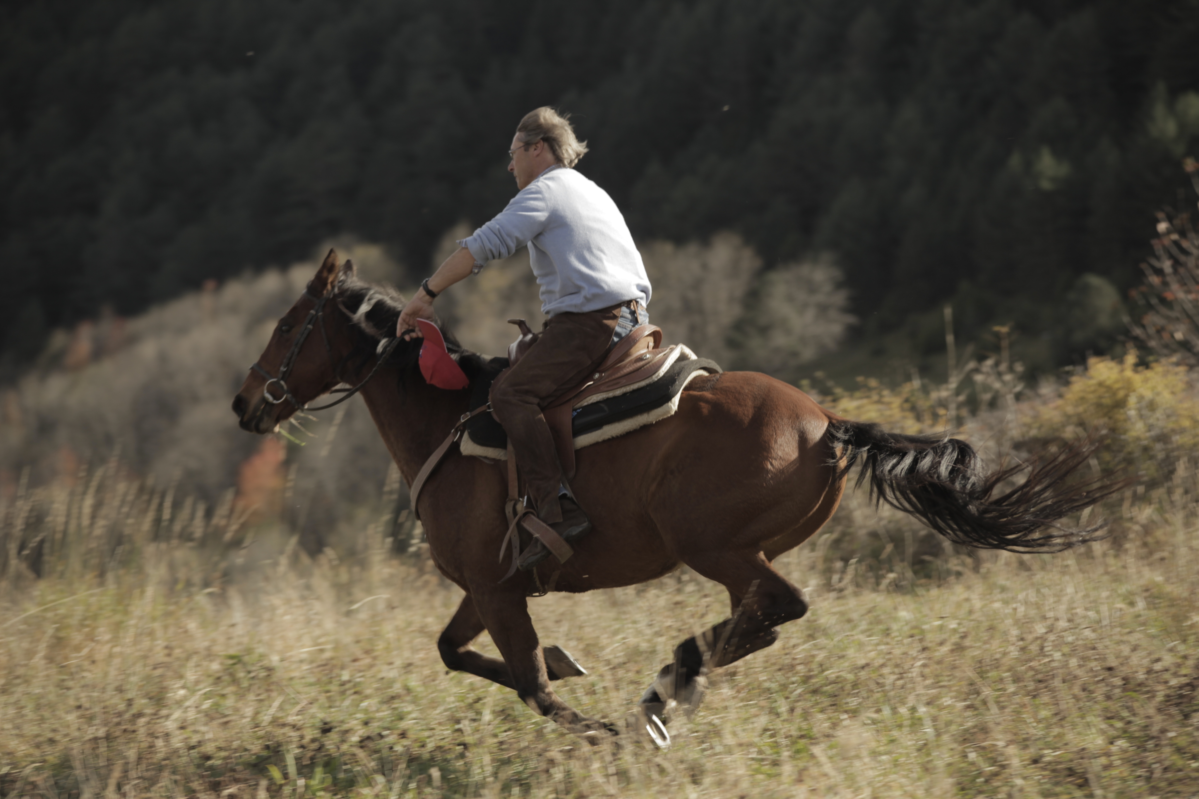 Image Espagne: Randonnée active et sportive à cheval en Catalogne