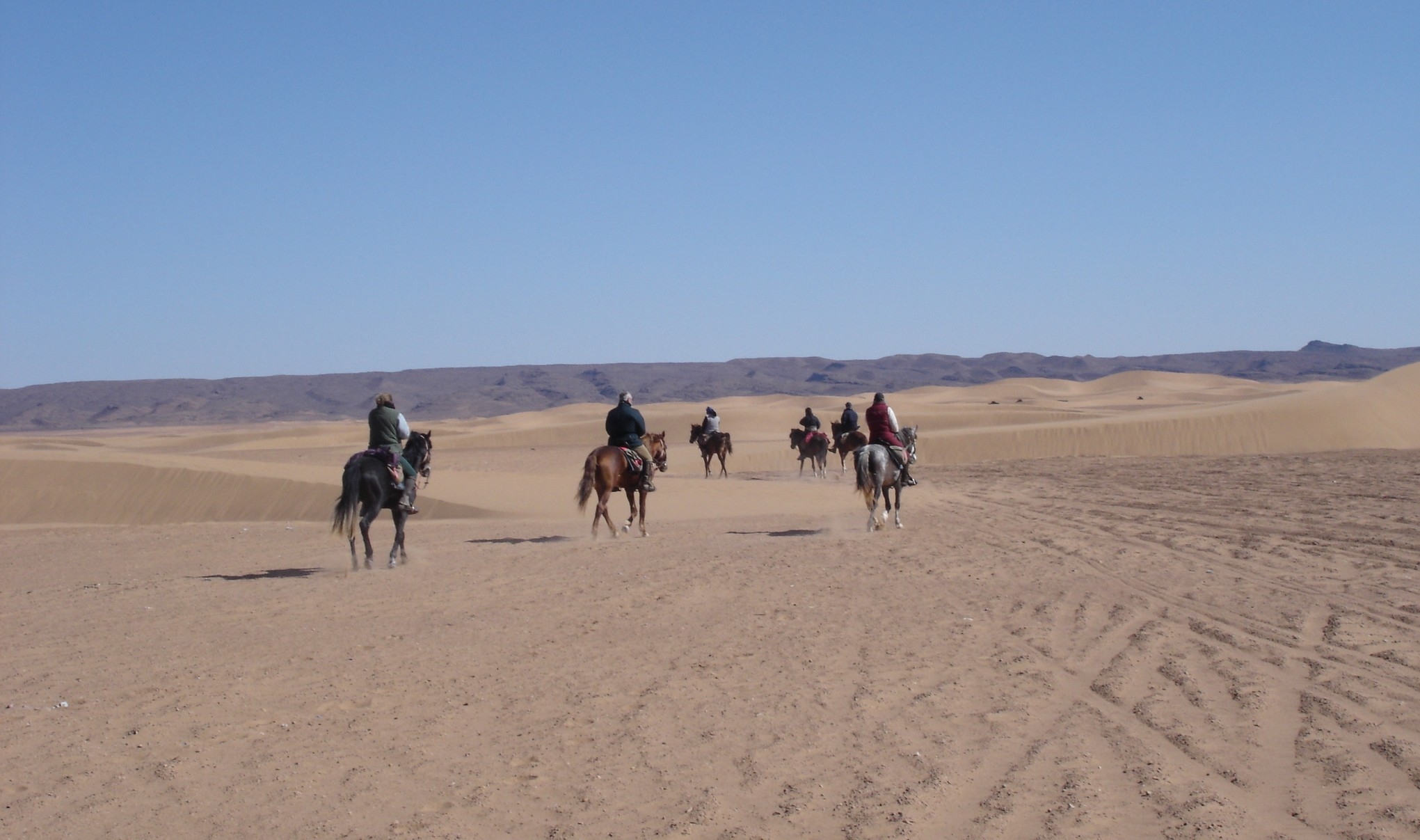 Image Le Désert Marocain à cheval