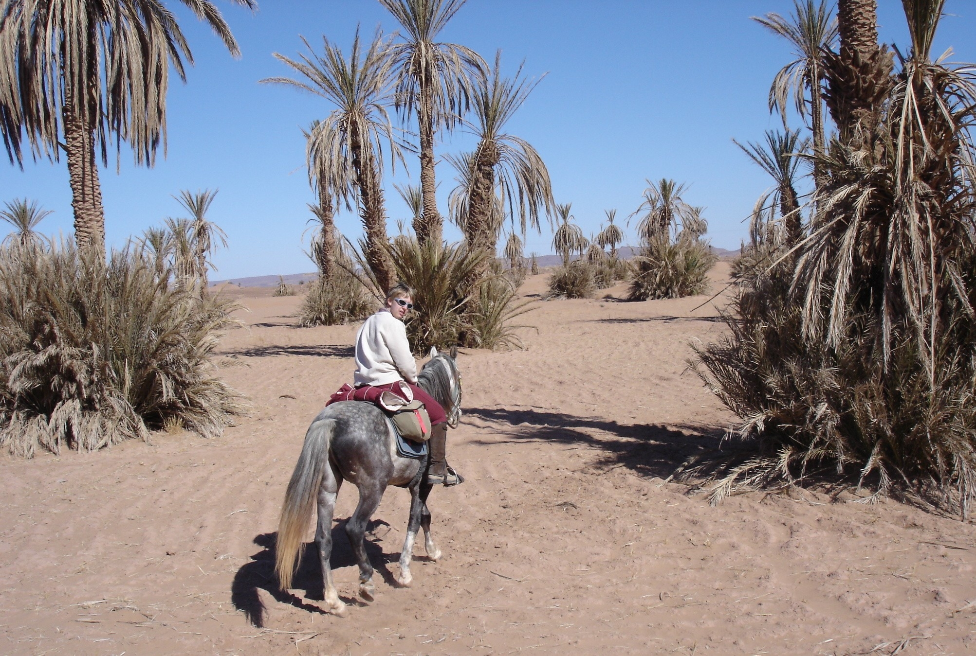 Image Le Désert Marocain à cheval