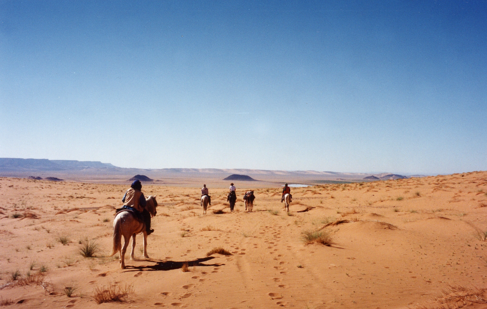 Image Le Désert Marocain à cheval
