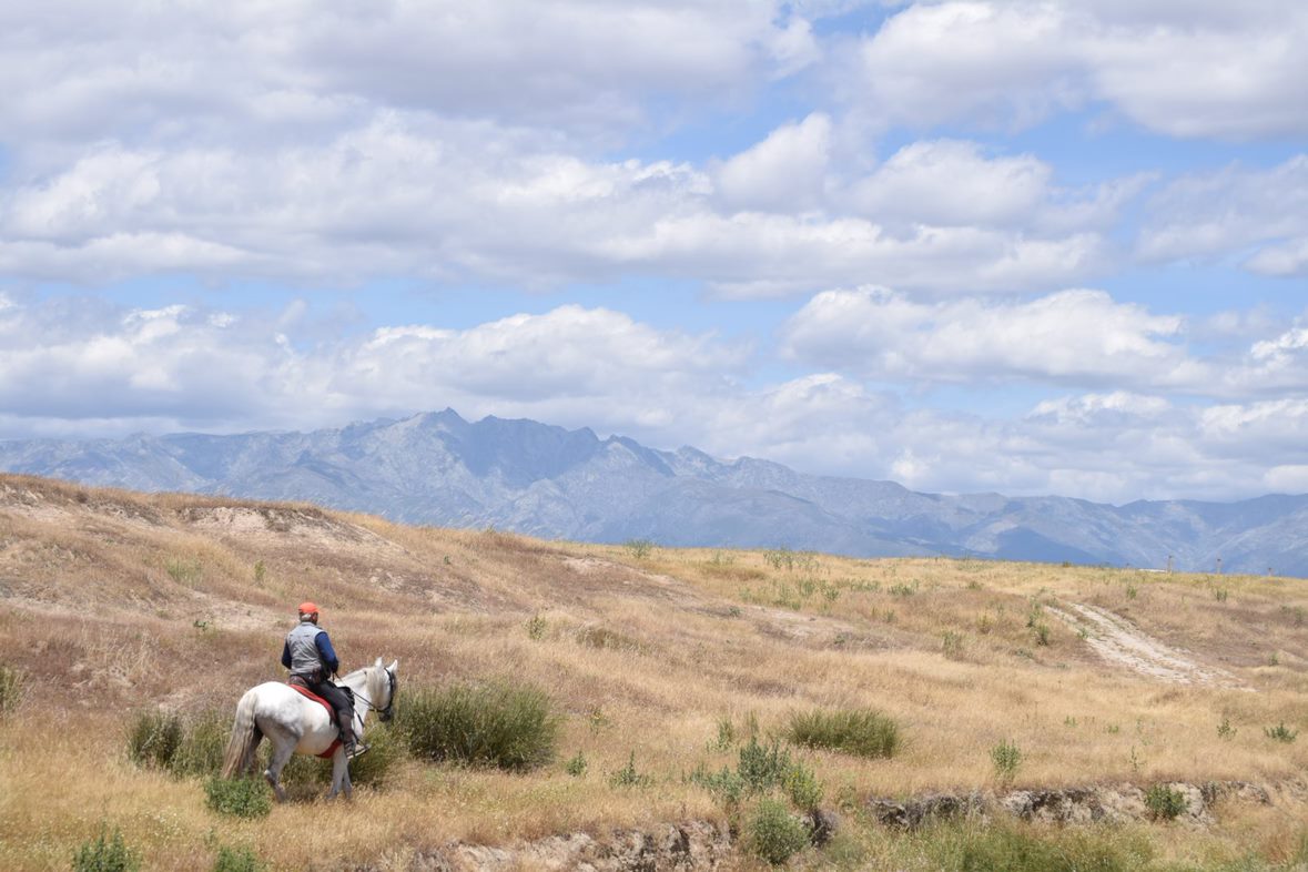 Image Espagne : Transhumance à cheval entre la Sierra de Gredos et l'Extremadure