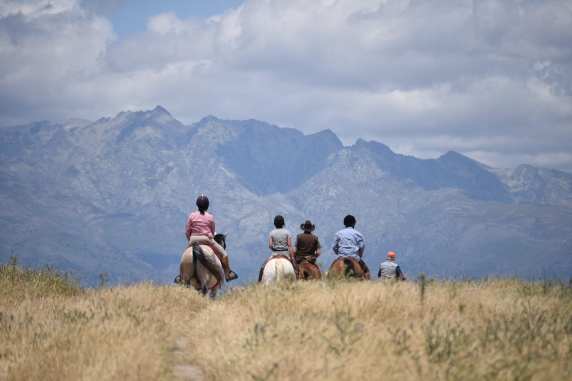 Image Espagne : Transhumance à cheval entre la Sierra de Gredos et l'Extremadure
