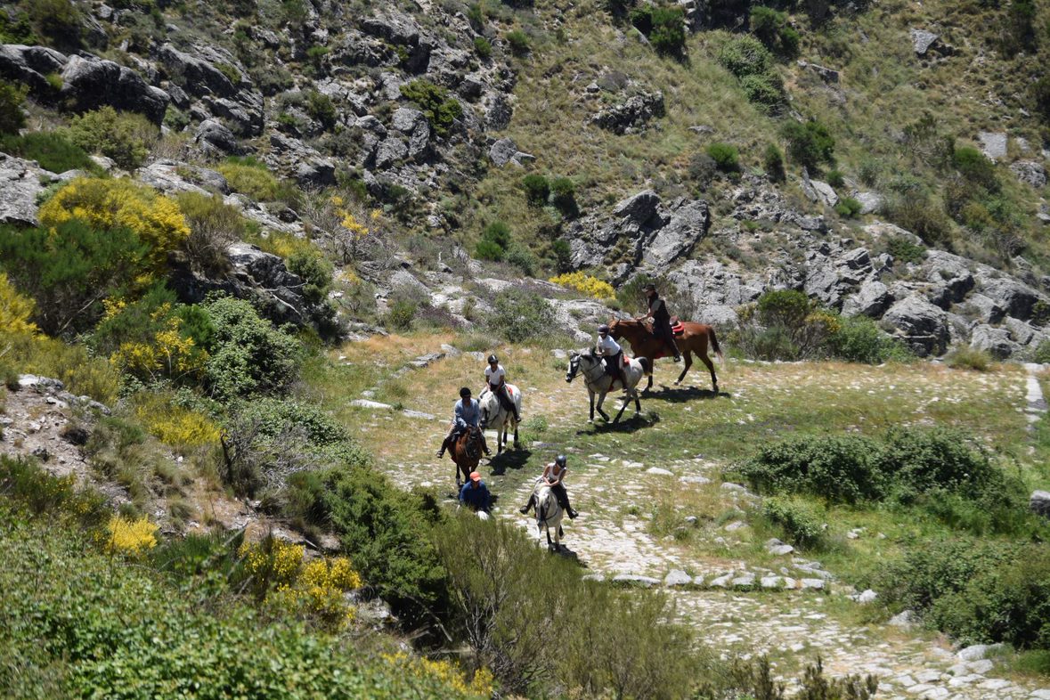 Image Espagne : Transhumance à cheval entre la Sierra de Gredos et l'Extremadure