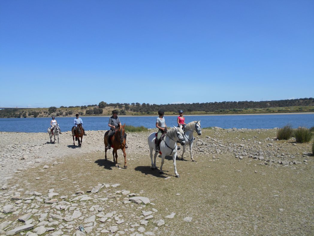 Image Espagne : Transhumance à cheval entre la Sierra de Gredos et l'Extremadure