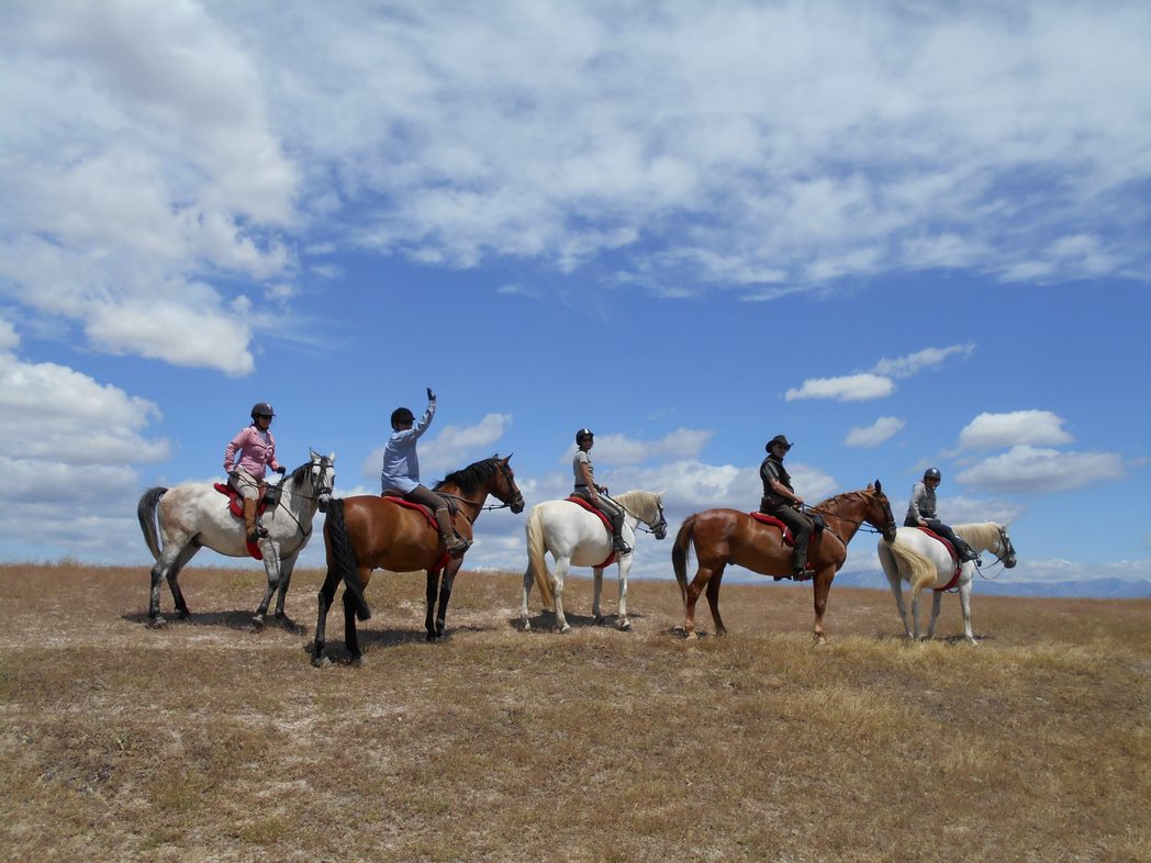 Image Espagne : Transhumance à cheval entre la Sierra de Gredos et l'Extremadure