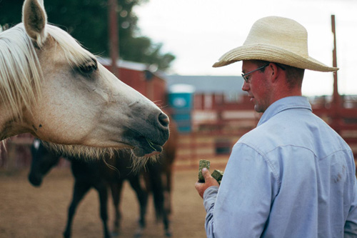 Image Usa : Rando à cheval en bivouac "Sangre de Cristo" dans le Colorado