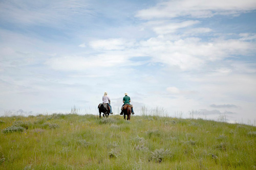 Image Usa : Rando à cheval en bivouac "Sangre de Cristo" dans le Colorado