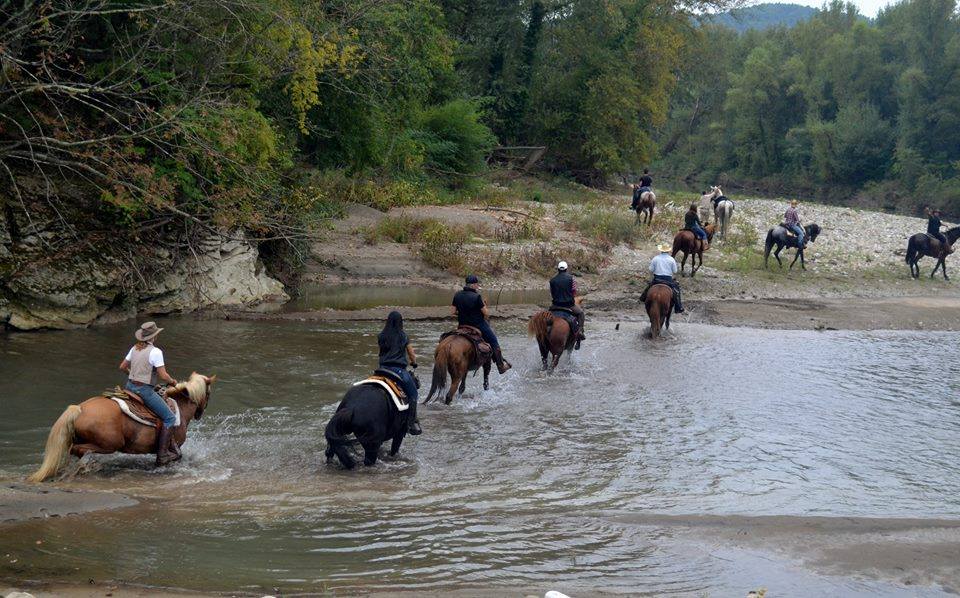 Image Les crêtes siennoises de Toscane à cheval