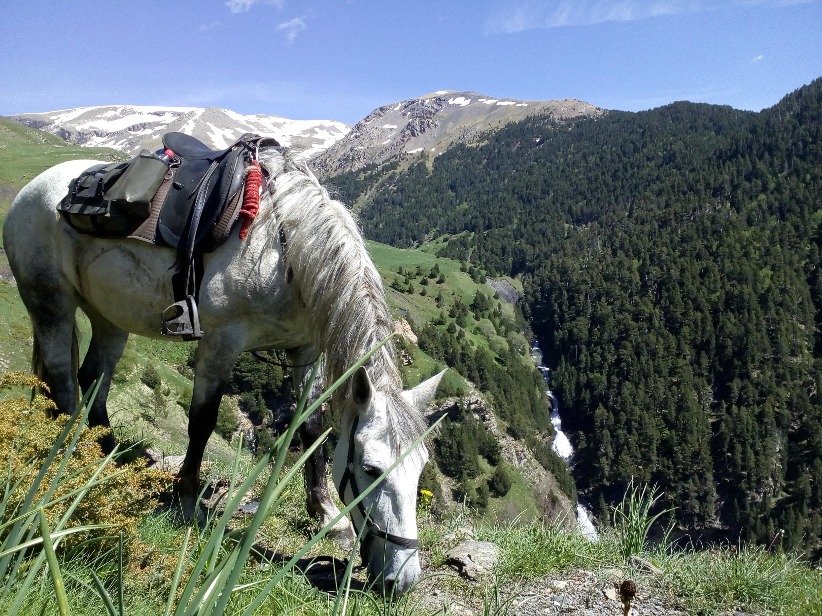 Image Espagne : A cheval sur les sommets des Pyrénées espagnoles