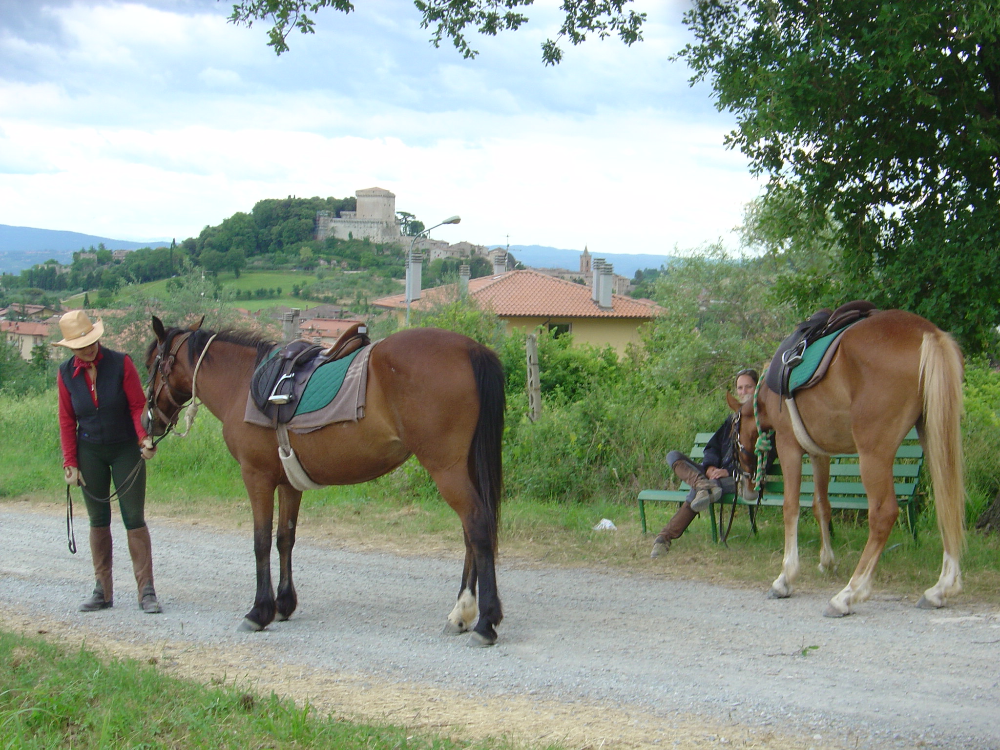 Image Les crêtes siennoises de Toscane à cheval