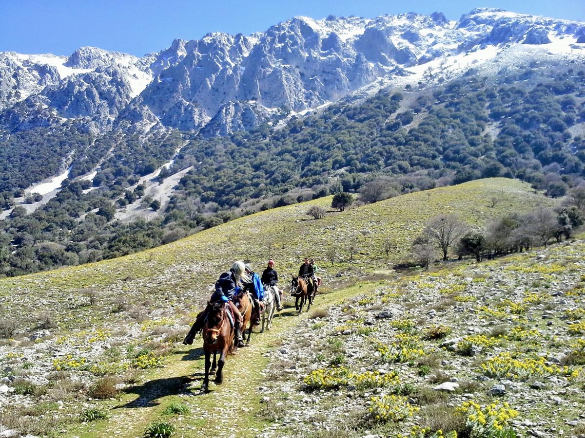 Image Sicile : Le Parc naturel des Madonies à cheval en itinérance