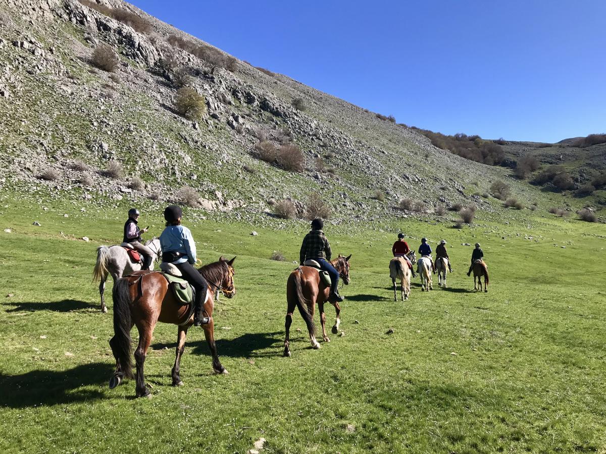 Image Sicile : Le Parc naturel des Madonies à cheval en itinérance