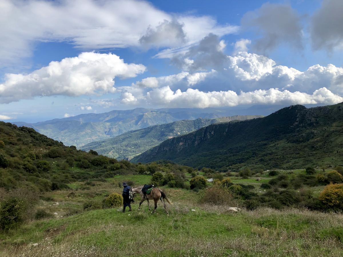 Image Sicile : Le Parc naturel des Madonies à cheval en itinérance