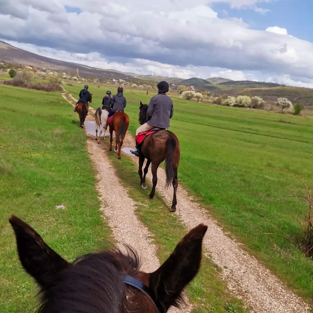 Image Croatie: Les collines de Dalmatie à cheval