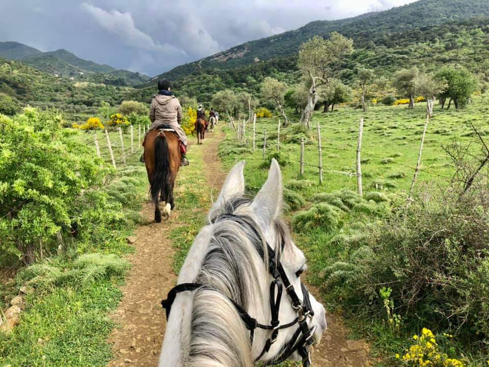 Image Sicile : La traversée de la Sicile à cheval