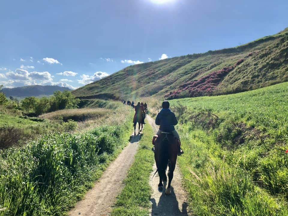 Image Sicile : La traversée de la Sicile à cheval