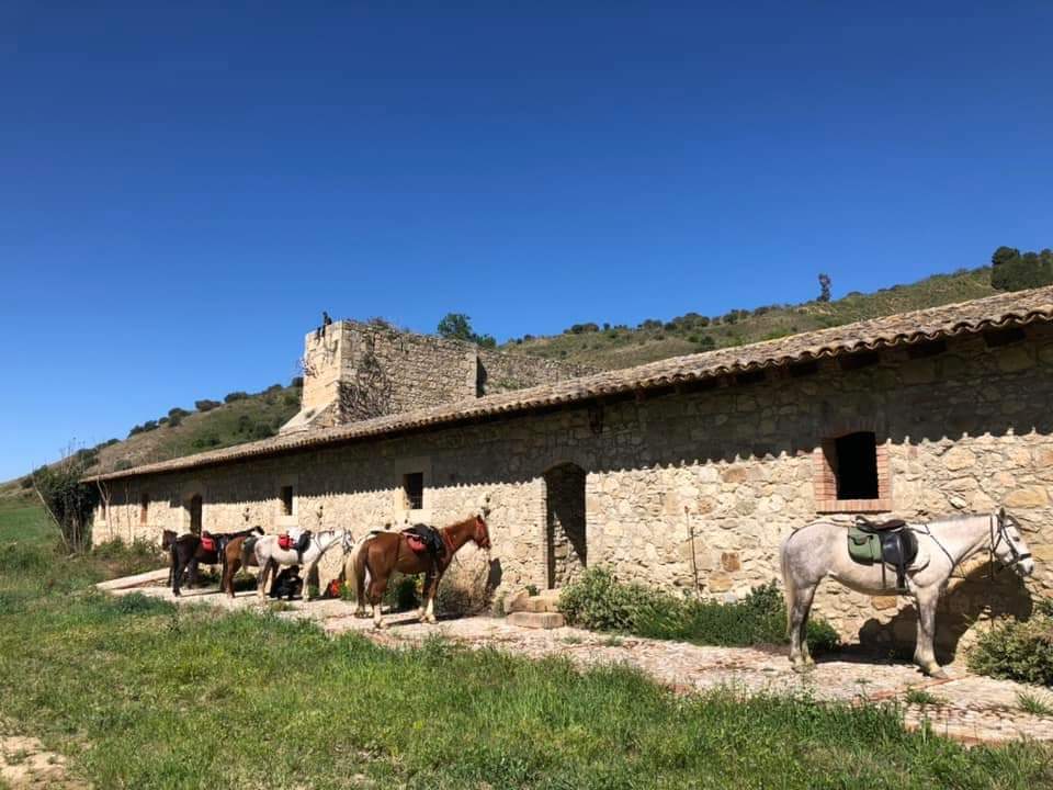 Image Sicile : La traversée de la Sicile à cheval