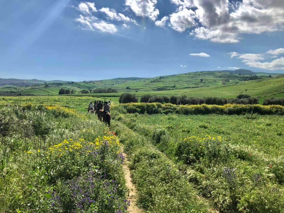 Image Sicile : La traversée de la Sicile à cheval