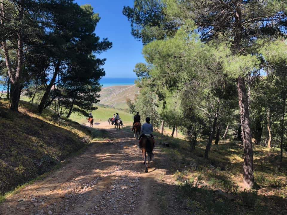 Image Sicile : La traversée de la Sicile à cheval