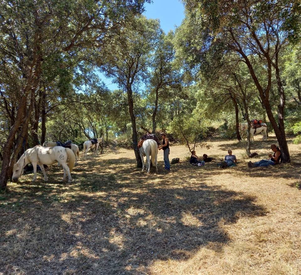 Image Quatre jours en rando à cheval dans le Petit Luberon itinérants