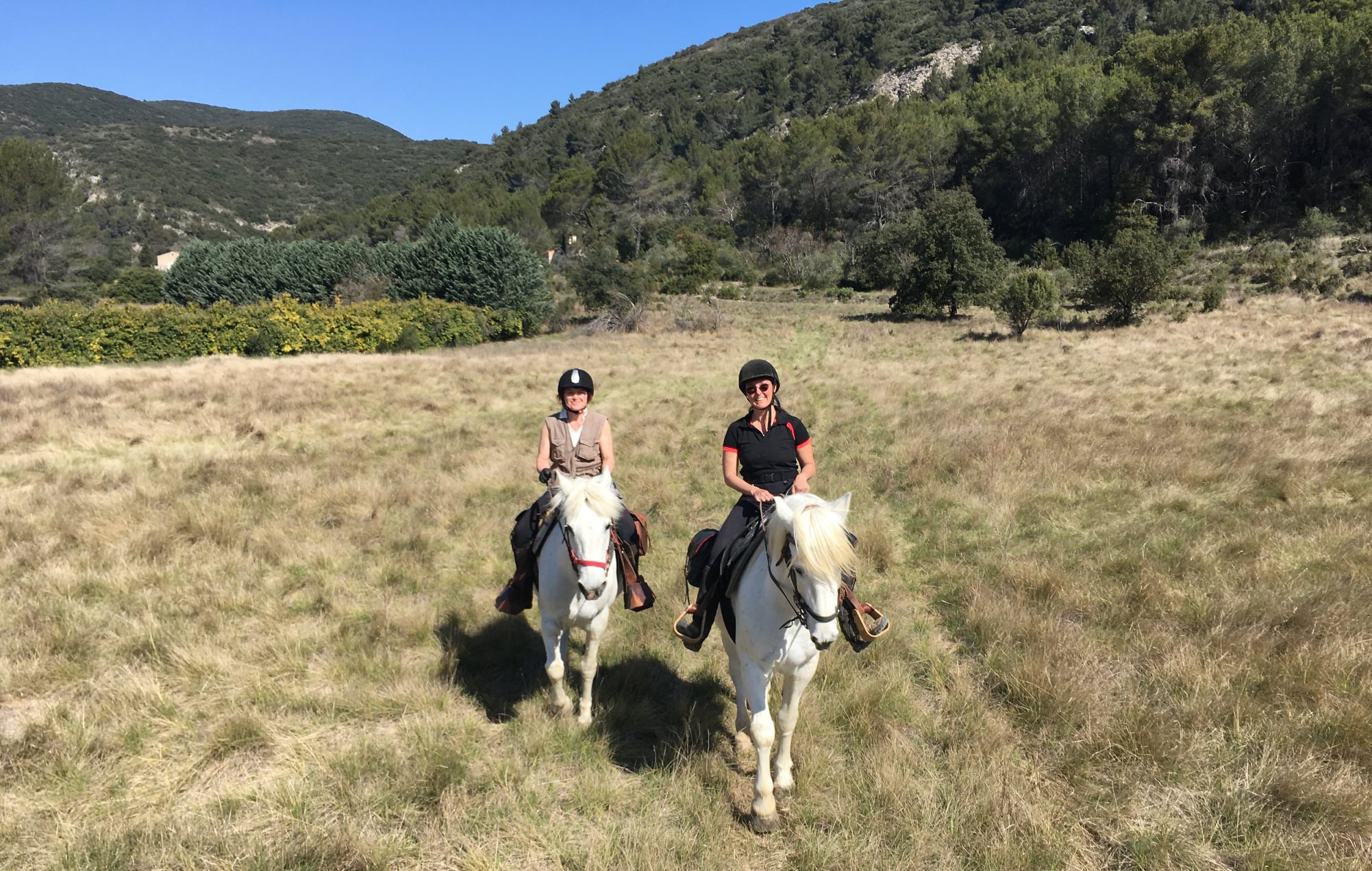 Image Trois jours de rando à cheval dans le Luberon itinérante