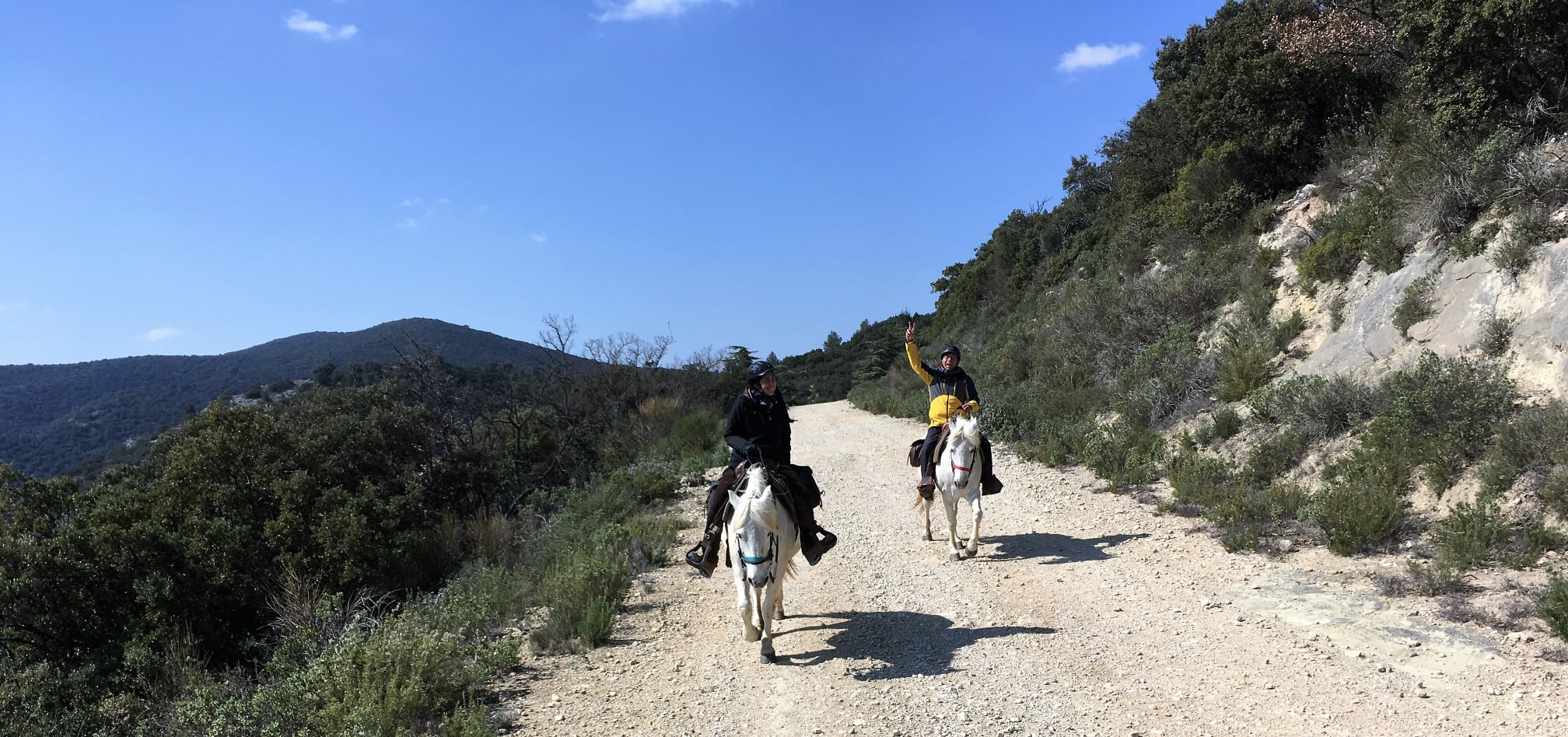 Image Quatre jours en rando à cheval dans le Petit Luberon itinérants