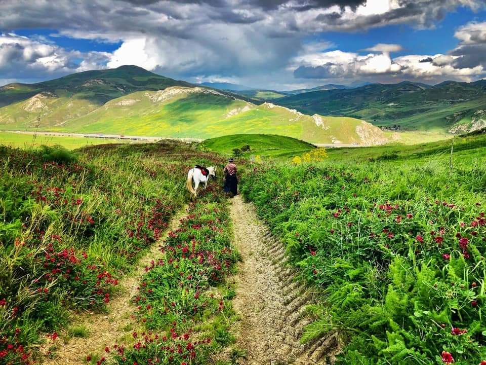 Image Sicile : Le Parc naturel des Madonies à cheval en itinérance