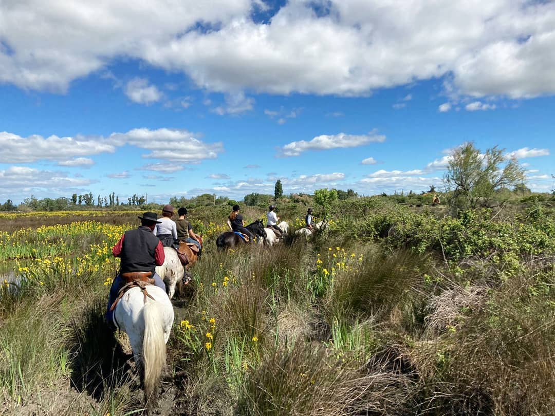 Image Voyage à cheval des collines du Luberon et des Alpilles à la Camargue