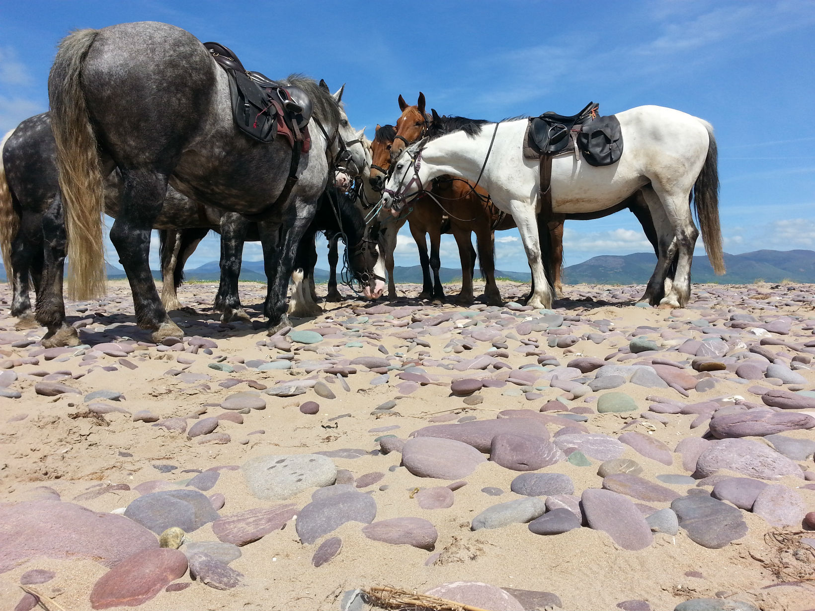 Image Killarney et l'anneau du Kerry à cheval en Irlande