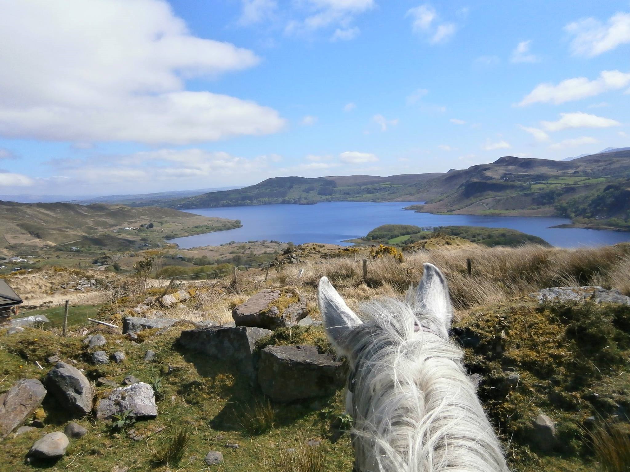 Image Killarney et l'anneau du Kerry à cheval en Irlande