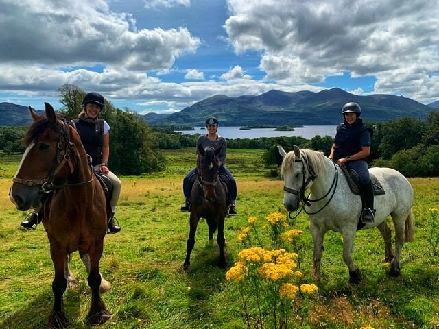 Image Killarney et l'anneau du Kerry à cheval en Irlande