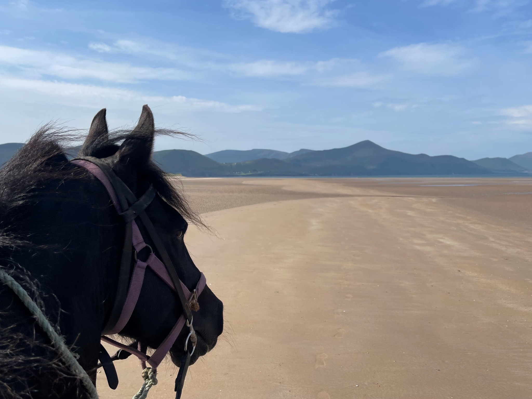 Image Killarney et l'anneau du Kerry à cheval en Irlande
