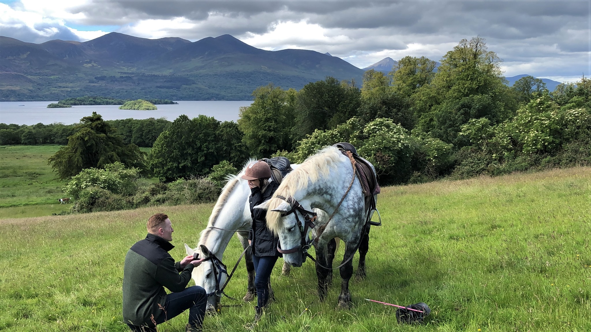 Image Killarney et l'anneau du Kerry à cheval en Irlande