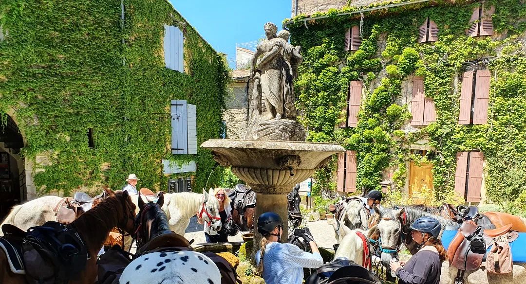 Image La route de la lavande, voyage à cheval du Luberon à la Drôme Provençale
