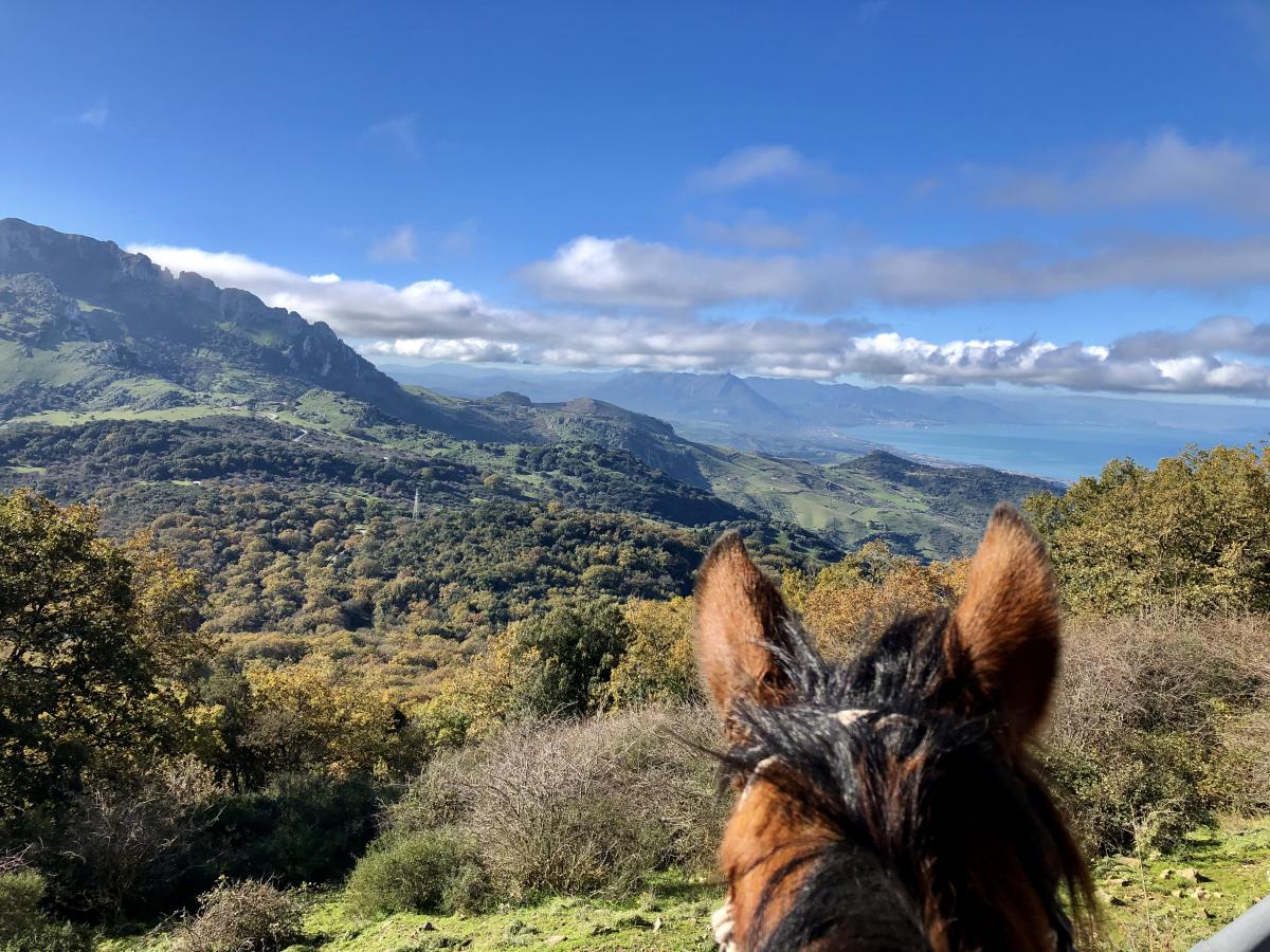 Image Sicile : Le Parc naturel des Madonies à cheval en étoile et en itinérance