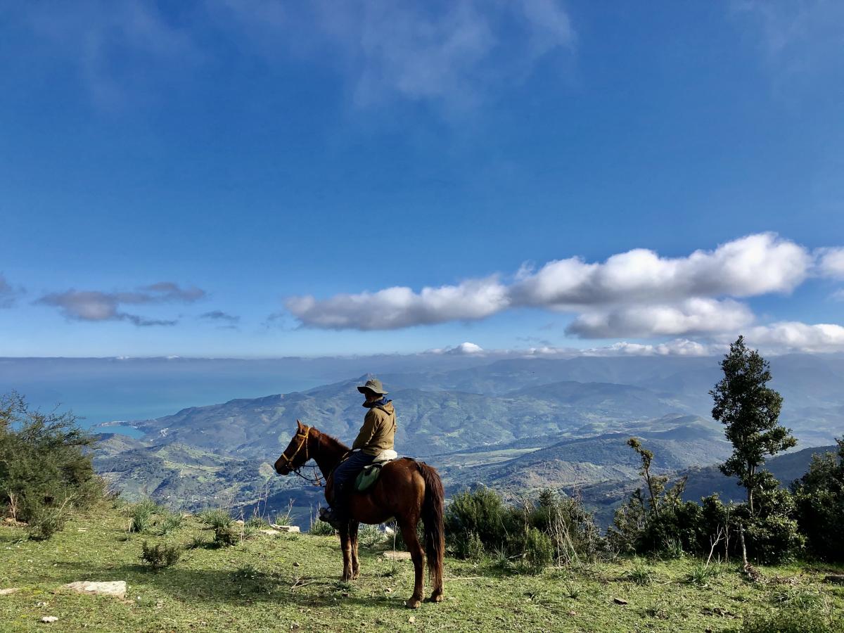 Image Sicile : Le Parc naturel des Madonies à cheval en étoile et en itinérance