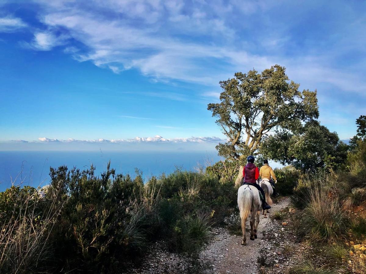 Image Sicile : Le Parc naturel des Madonies à cheval en étoile et en itinérance