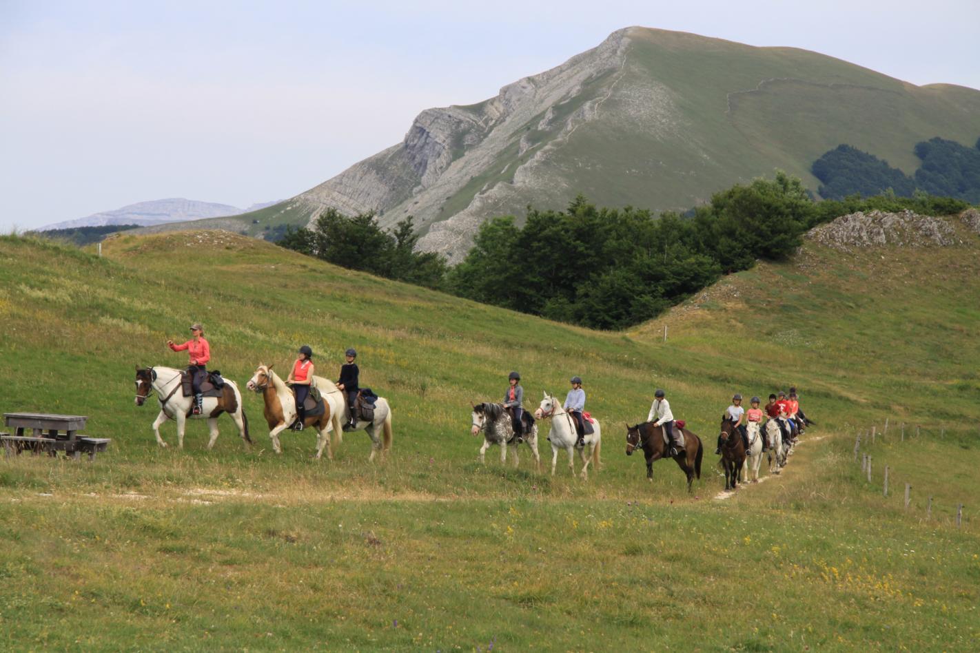 Image Alpages et hauts plateaux du Vercors à cheval