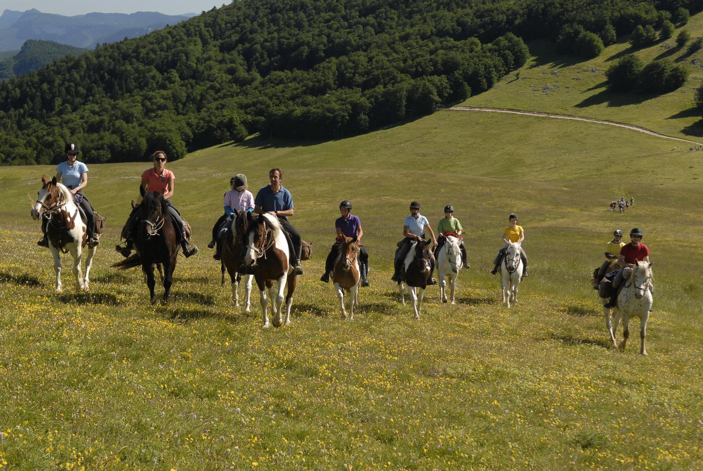 Image Echappée en  rando à cheval sur le plateau du Vercors