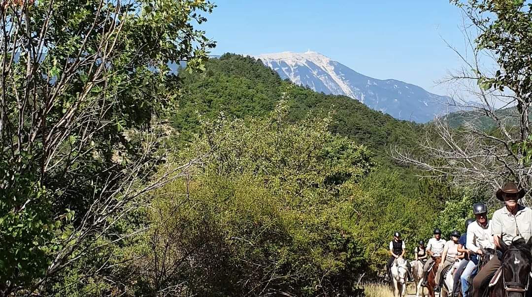 Image La route de la lavande, voyage à cheval du Luberon à la Drôme Provençale