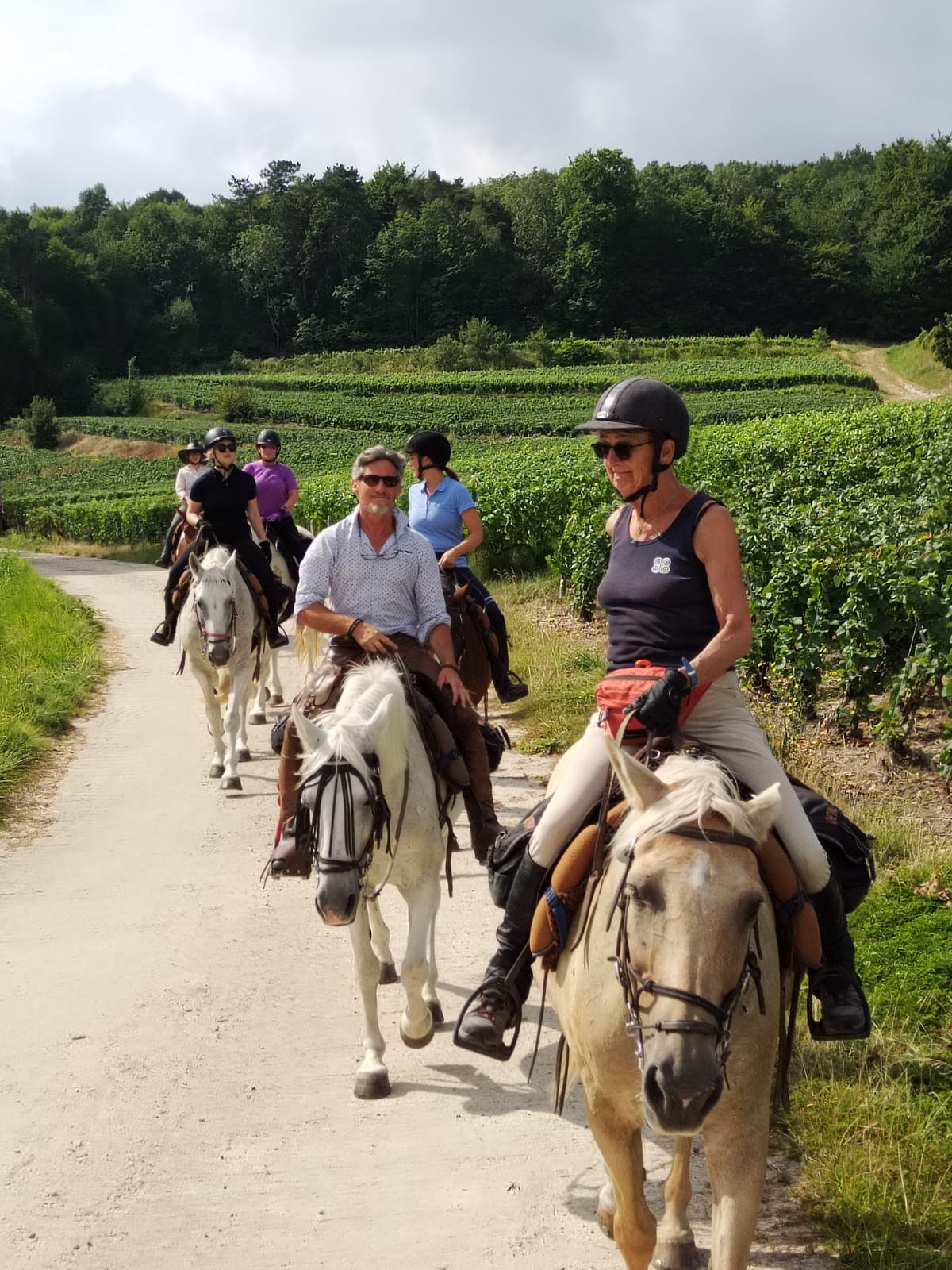 Image Chevauchée pétillante dans les vignobles de Champagne