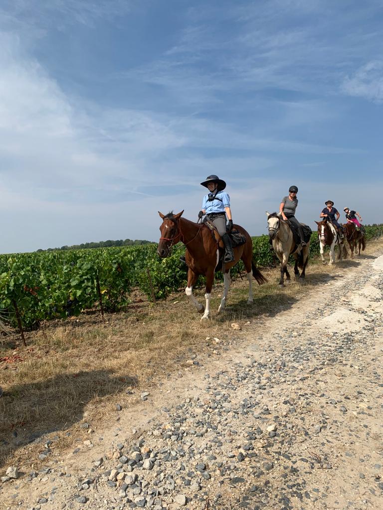 Image Chevauchée pétillante dans les vignobles de Champagne