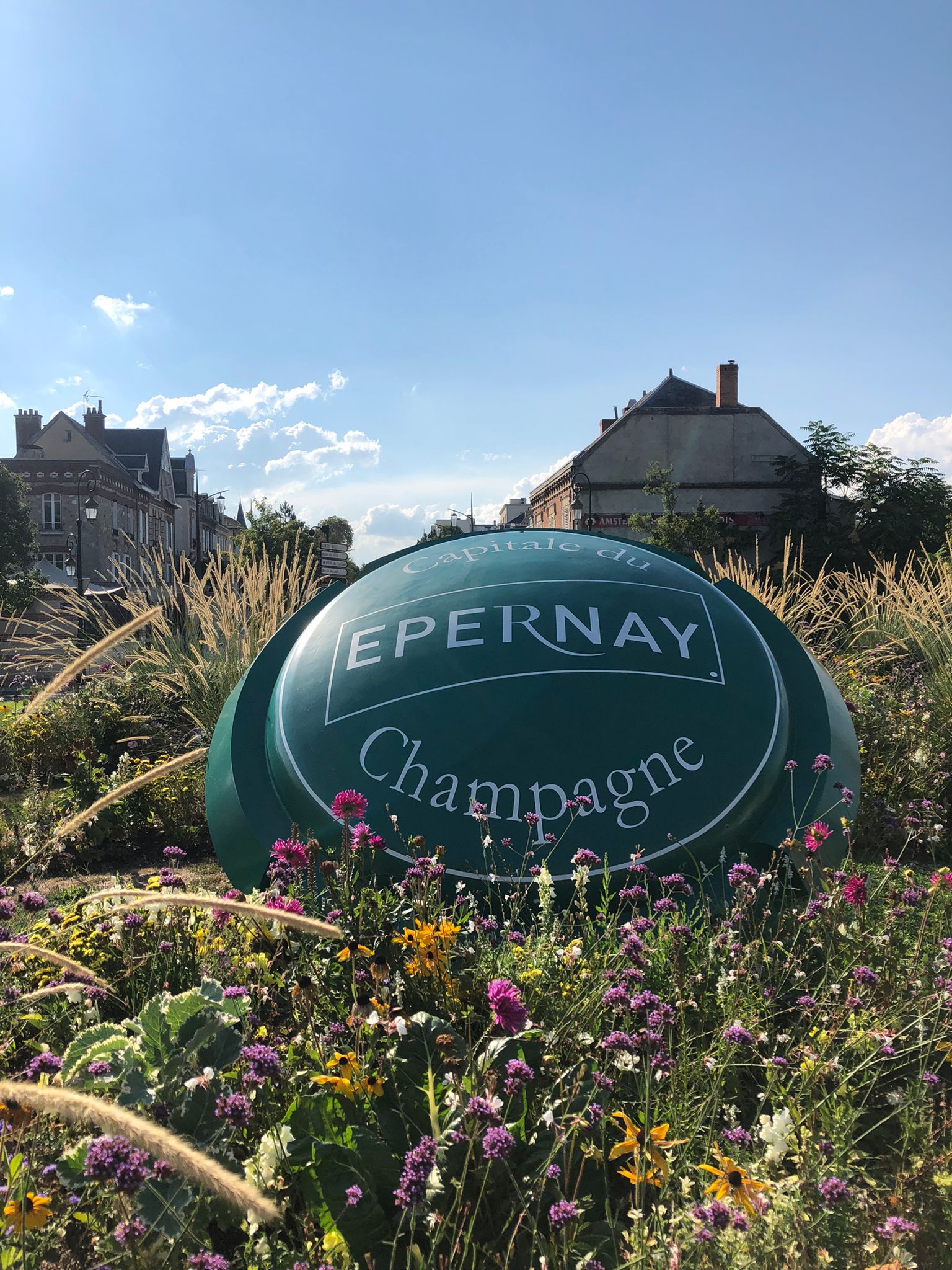 Image Chevauchée pétillante dans les vignobles de Champagne