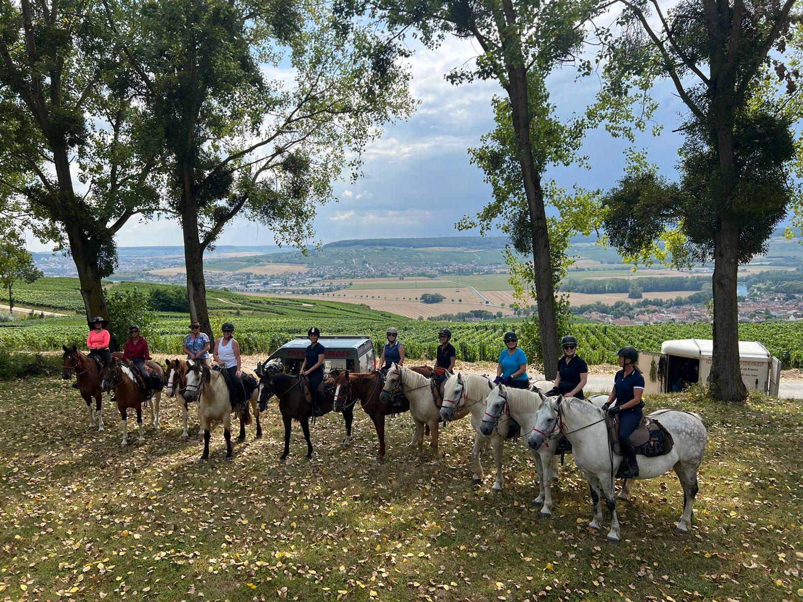 Image Chevauchée pétillante dans les vignobles de Champagne