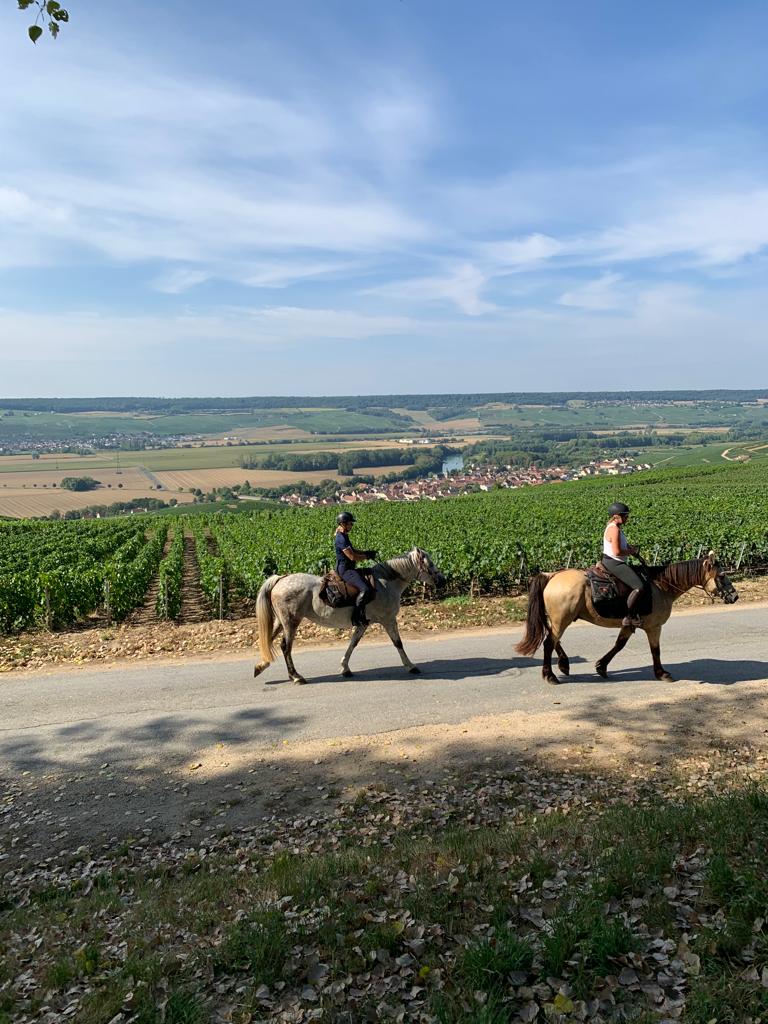 Image Chevauchée pétillante dans les vignobles de Champagne