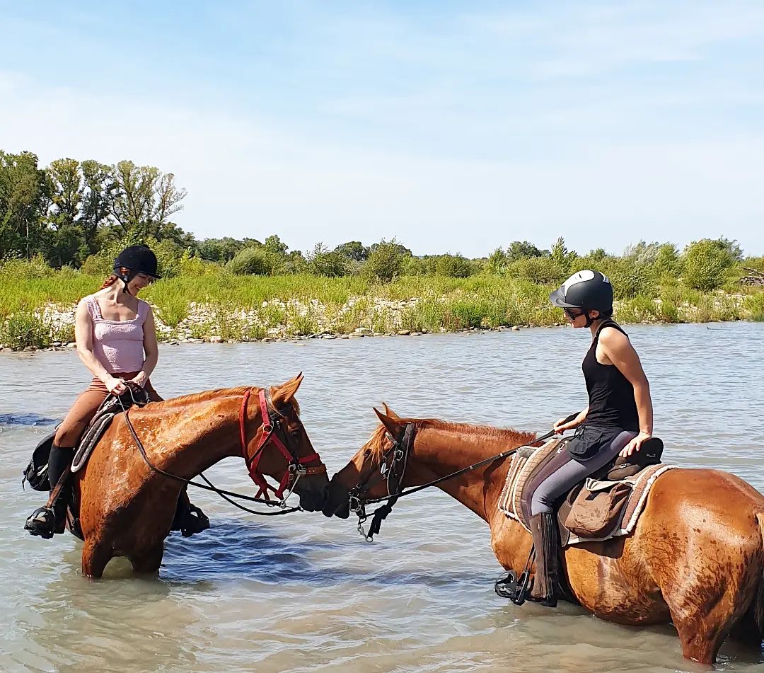 Image Voyage à cheval des collines du Luberon et des Alpilles à la Camargue
